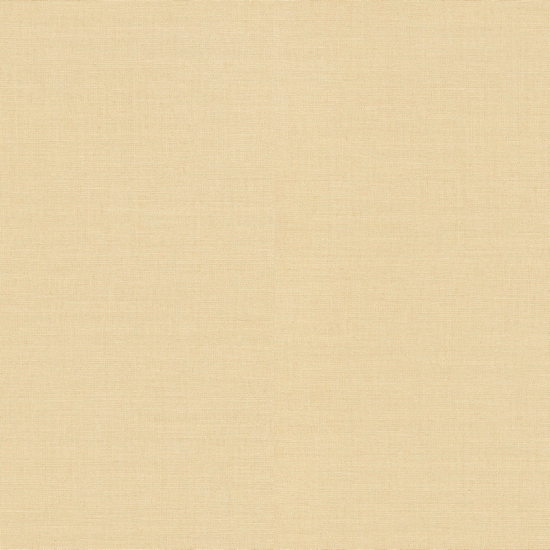 Обои  Casual Chic ER12143-02 ER12143-02